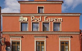Apartamenty Pod Lwem